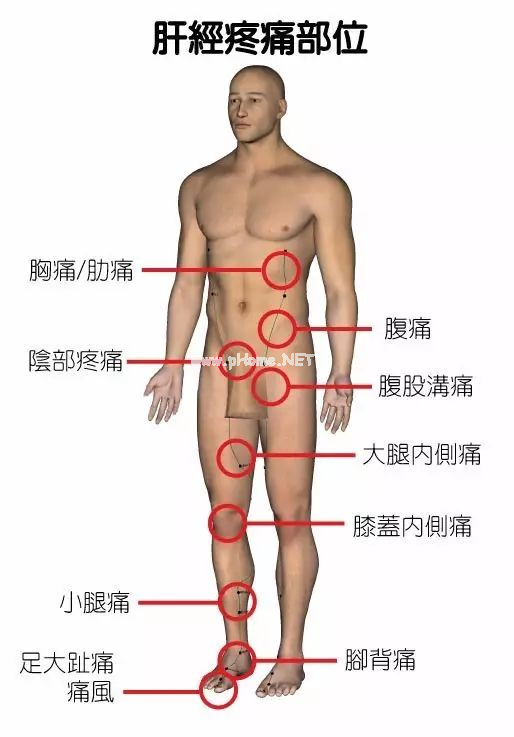 最全身体疼痛对照表，看看你到底是哪儿堵了？