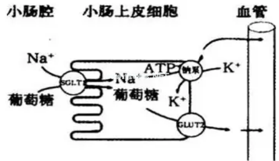 口服补盐液除了腹泻补液，还能用于这10种情况……