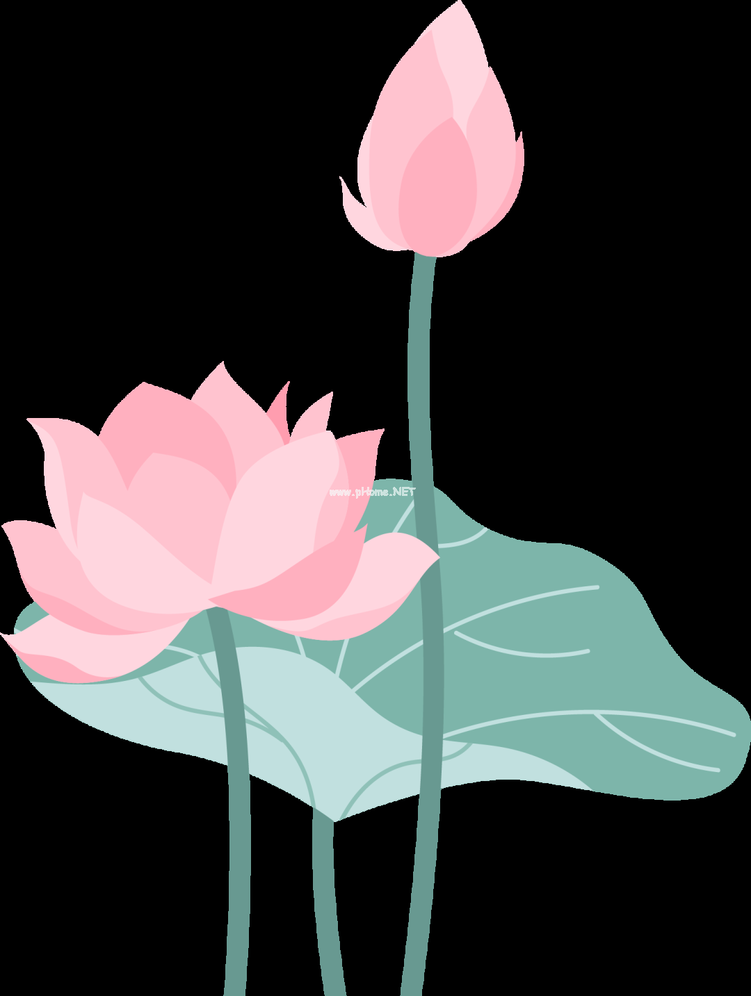 夏已至——藏在节气里的中药