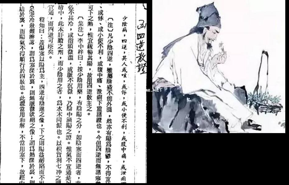 四逆汤和四逆散，可不止一字之差！！！