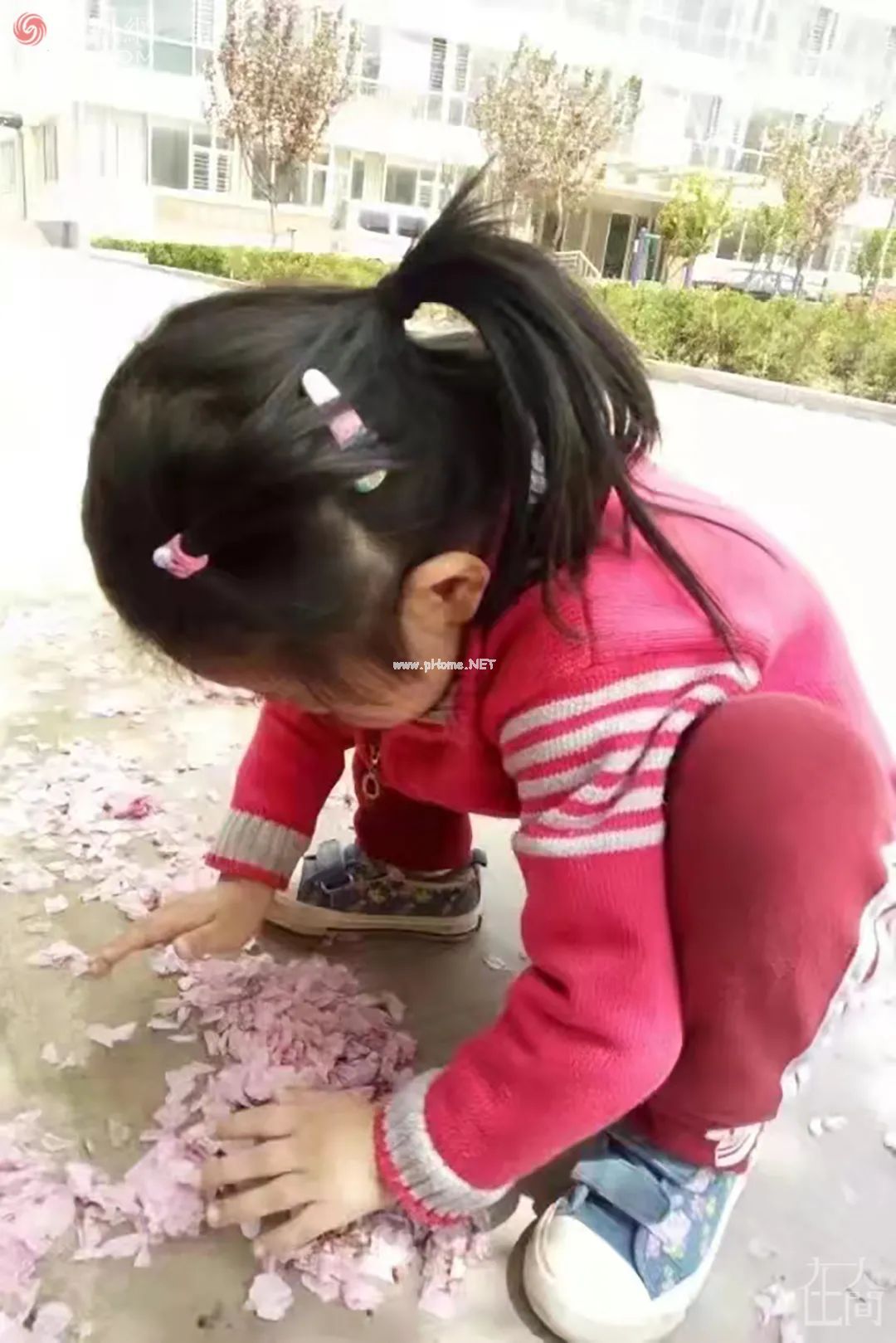 我的癫痫女儿怎么办，要在家看一辈子电视吗？