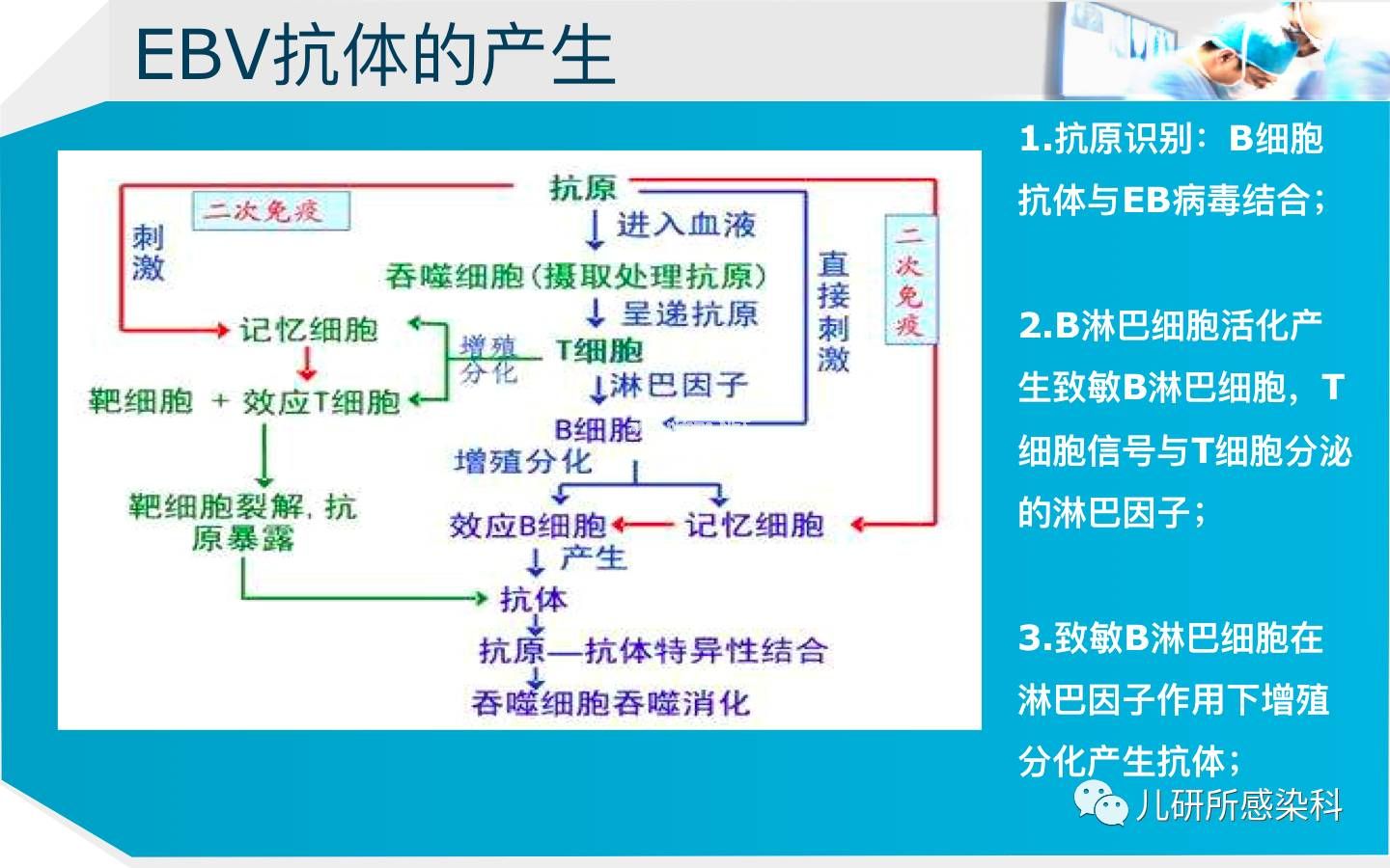 儿童主要非肿瘤性EB病毒感染相关疾病的诊断和治疗原则建议——第二辑