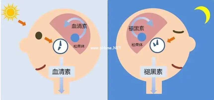 给失眠患者的天然处方：多晒太阳