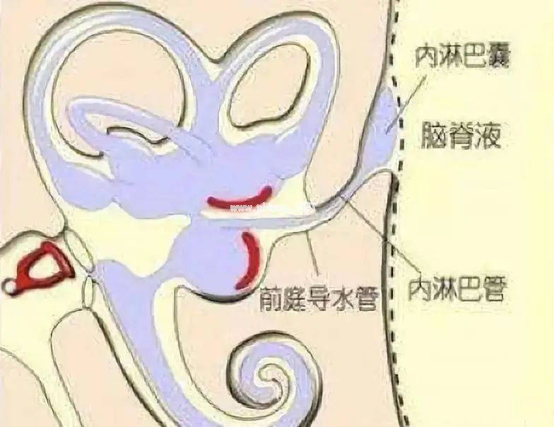 一场感冒孩子变聋了！