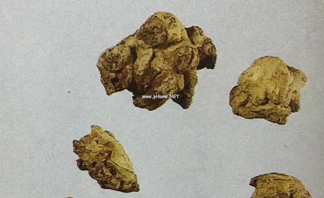 话·三七