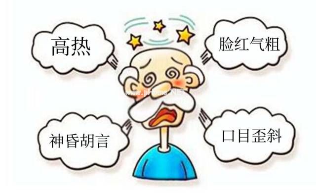 为安宫牛黄丸疯狂打call，它真有那么神吗？