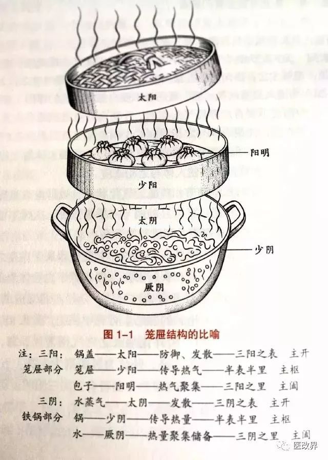 图解中医，33条帮你更好地了解中医思维！