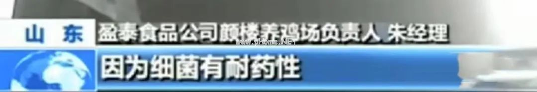 中国一年吃掉50亿速成鸡！40天的速成鸡能给娃吃吗？到底有没有激素？