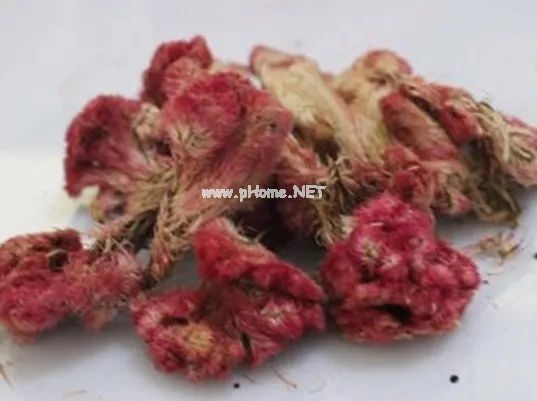 路边随处可见的鸡冠花，原来是个药食两用的好药材