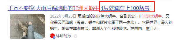 下雨后看到这种动物，千万别碰！立刻弄死！