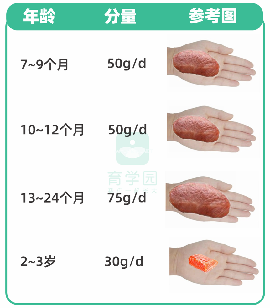 孩子吃鱼更聪明？这4种鱼一口都别多吃！