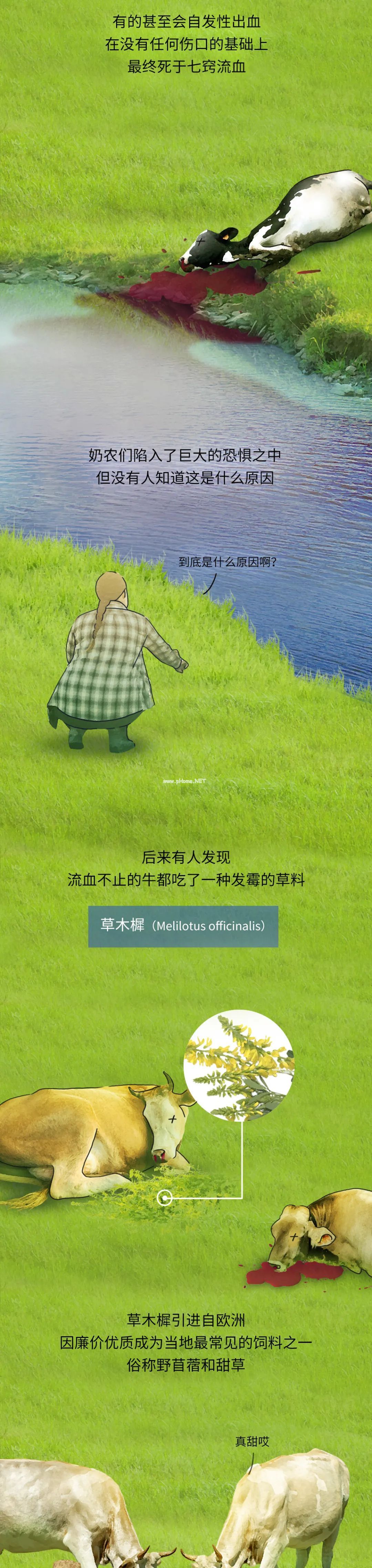 血腥中诞生的救命药,每年拯救上千万人! 血腥中诞生的救命药,每年拯救上千万人!