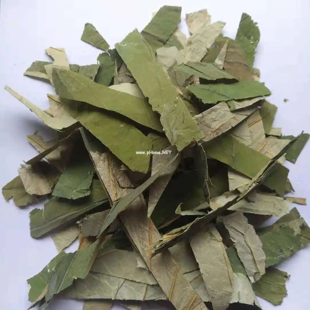 夏已至——藏在节气里的中药
