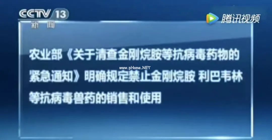 中国一年吃掉50亿速成鸡！40天的速成鸡能给娃吃吗？到底有没有激素？