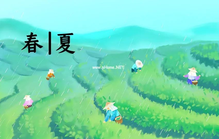春夏交接，补好脾土，稳稳接好阳气！