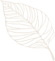 缓急止痛小经方——芍药甘草汤
