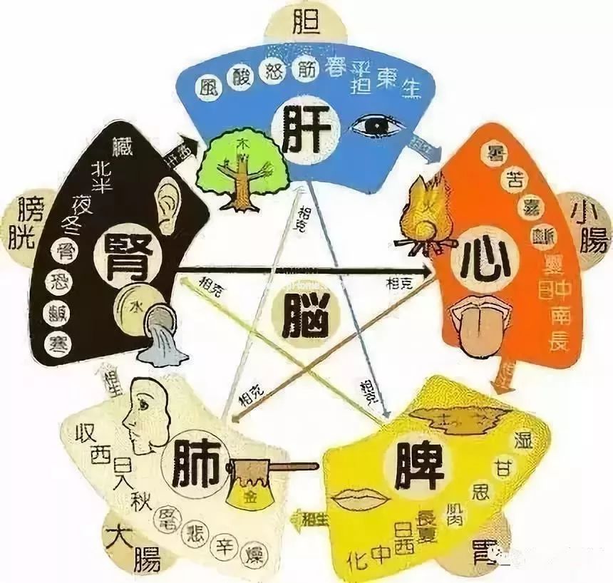 图解中医，33条帮你更好地了解中医思维！