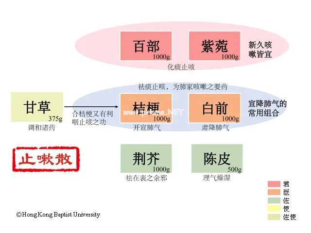 紫菀——这个路边不知名的紫菊花，却是祛痰止咳的良药