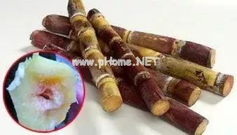 清明蔗毒过蛇，真是如此吗？