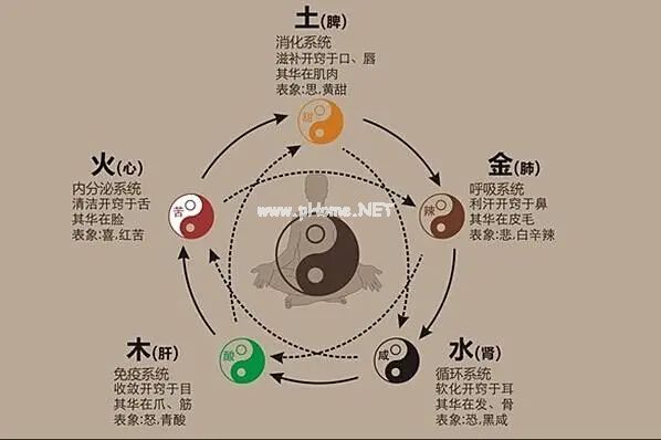 这个中成药，补脾胃之气，化脾胃之痰