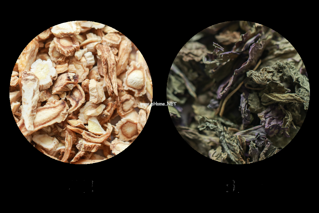 不伤脾的小茶方，能解春天的肝火、理肝气!
