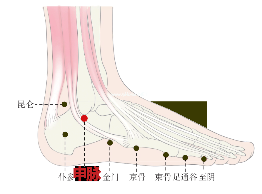 一文读懂！新冠感染早期5大症状的经络自救