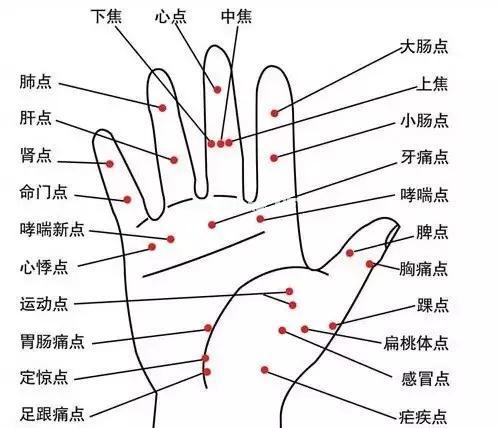人体五大反射区，有图备查