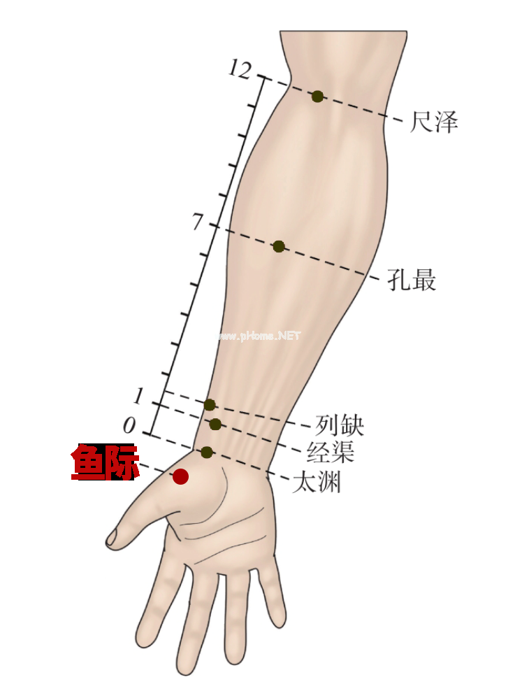 一文读懂！新冠感染早期5大症状的经络自救