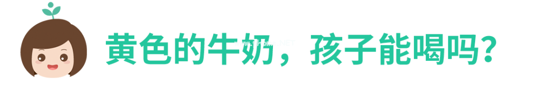 颜色偏黄的牛奶营养价值更高？真相让人意外！