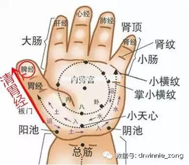 程老师说 | 宝宝急性肠胃炎该如何处理？最安全有效的方法在这里！