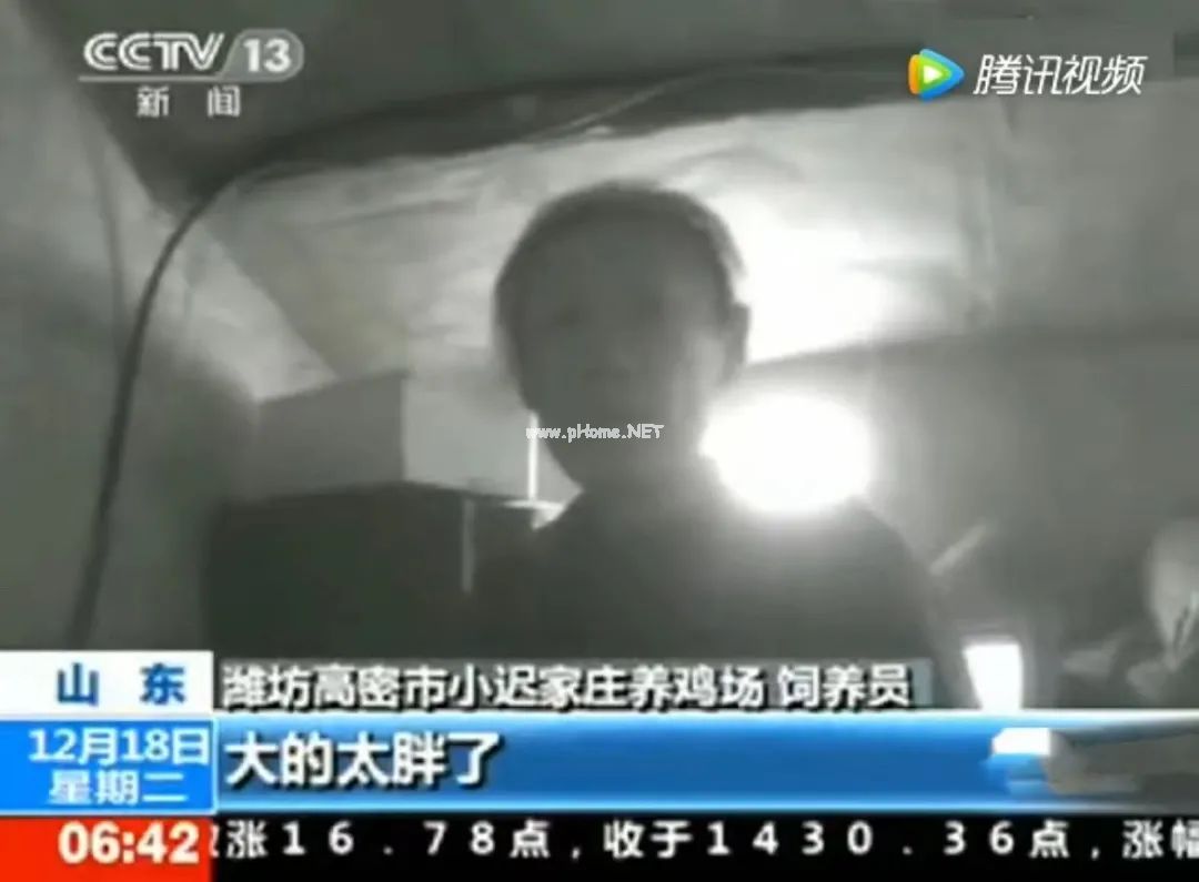 中国一年吃掉50亿速成鸡！40天的速成鸡能给娃吃吗？到底有没有激素？