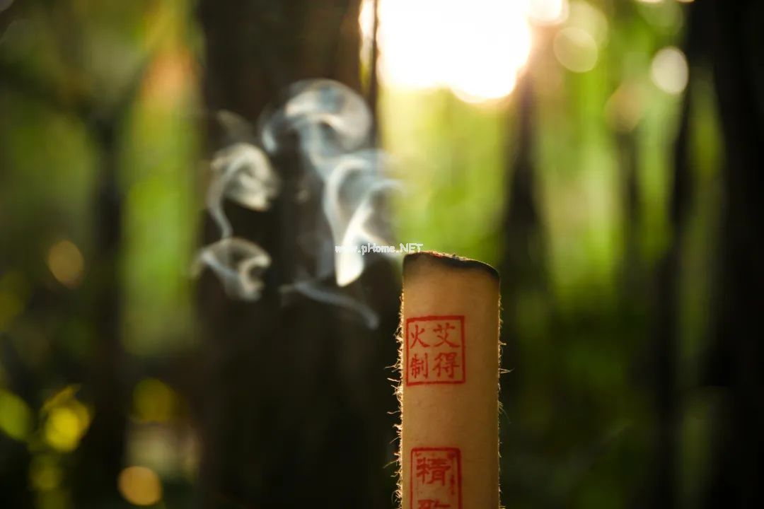清明时节：“养生草”艾叶这么用，通经络、祛寒湿...超有用！