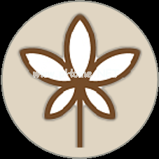 人参“防入坑手册”