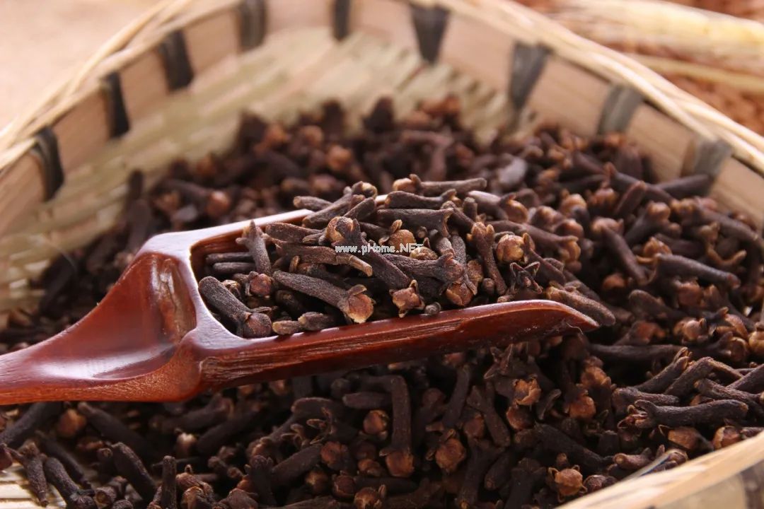 丁香是一味怎样的药材？