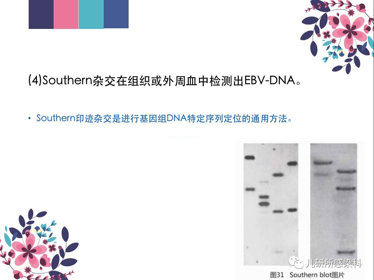 儿童主要非肿瘤性EB病毒感染相关疾病的诊断和治疗原则建议——第三辑