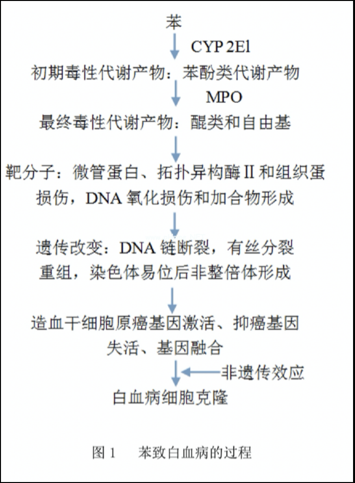 为什么总有孩子得白血病？这样的家庭患病几率陡增！