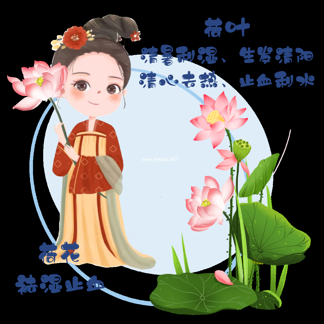 夏已至——藏在节气里的中药