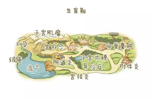 一张“女性妇科疾病地图”...