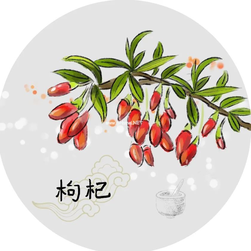 红与黑的对决：红枸杞与黑枸杞的PK赛