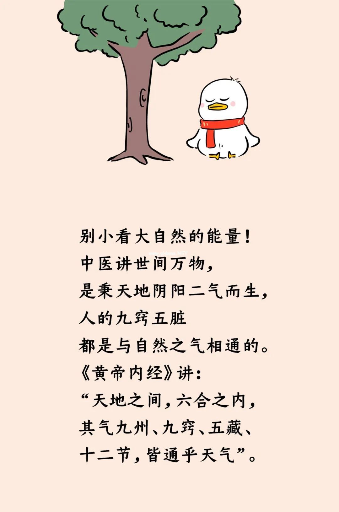 土地和阳光，对孩子意味着什么？