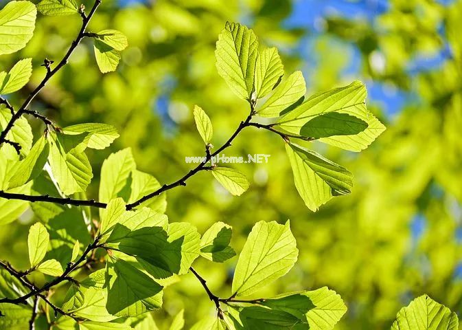 额头出汗：上焦热，背部出汗：阳气虚，十二种不同出汗，你属于哪种！