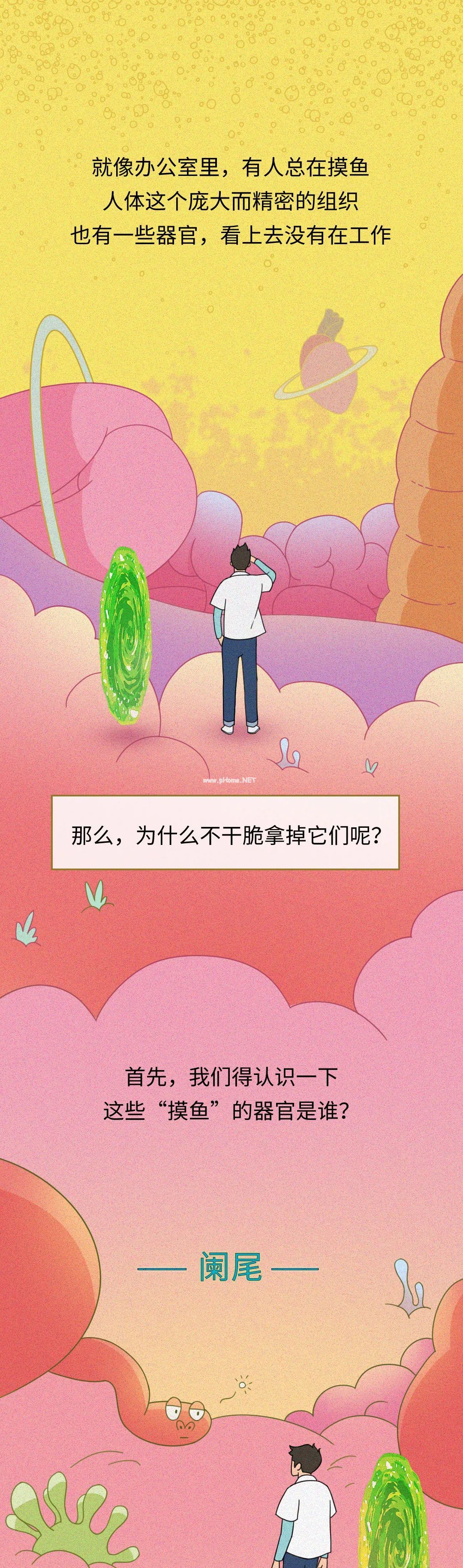 男人身上的五大废物器官，哪个最没用？