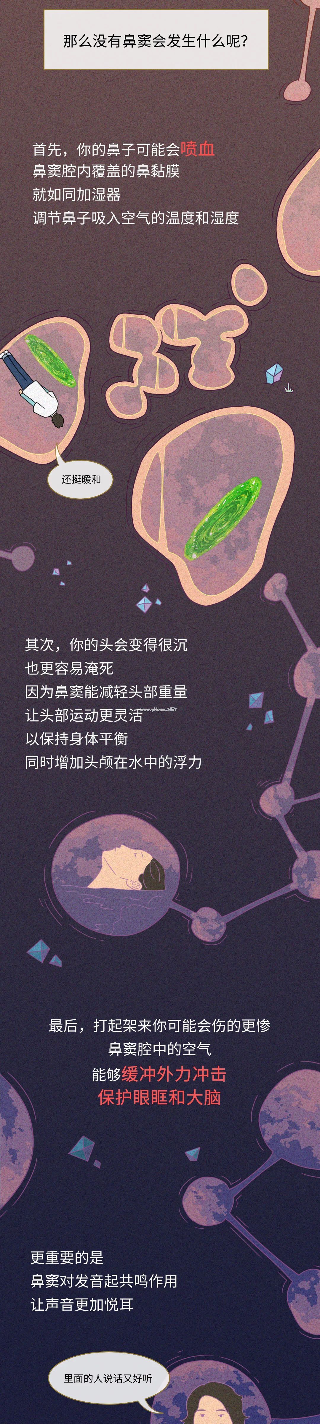 男人身上的五大废物器官，哪个最没用？