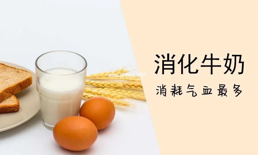 早餐吃什么？粥、豆浆、牛奶，不同孩子不同选择！