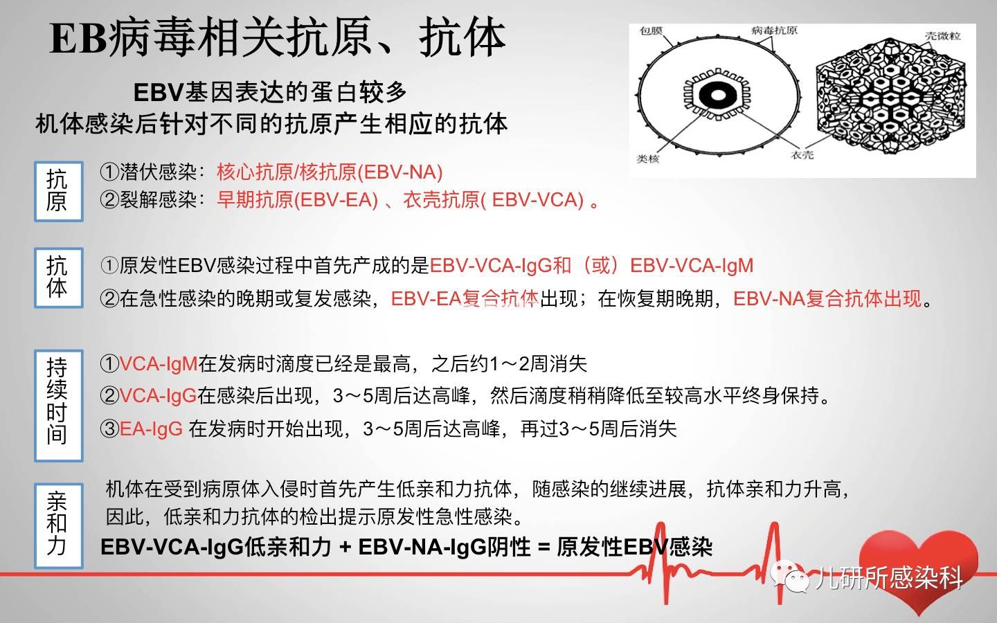 儿童主要非肿瘤性EB病毒感染相关疾病的诊断和治疗原则建议——第一辑