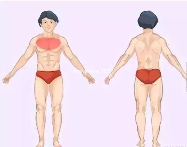 身体的语音：疼痛对照表！准的吓人！