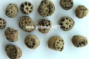 这蔬菜自带仙气，还有如此药效