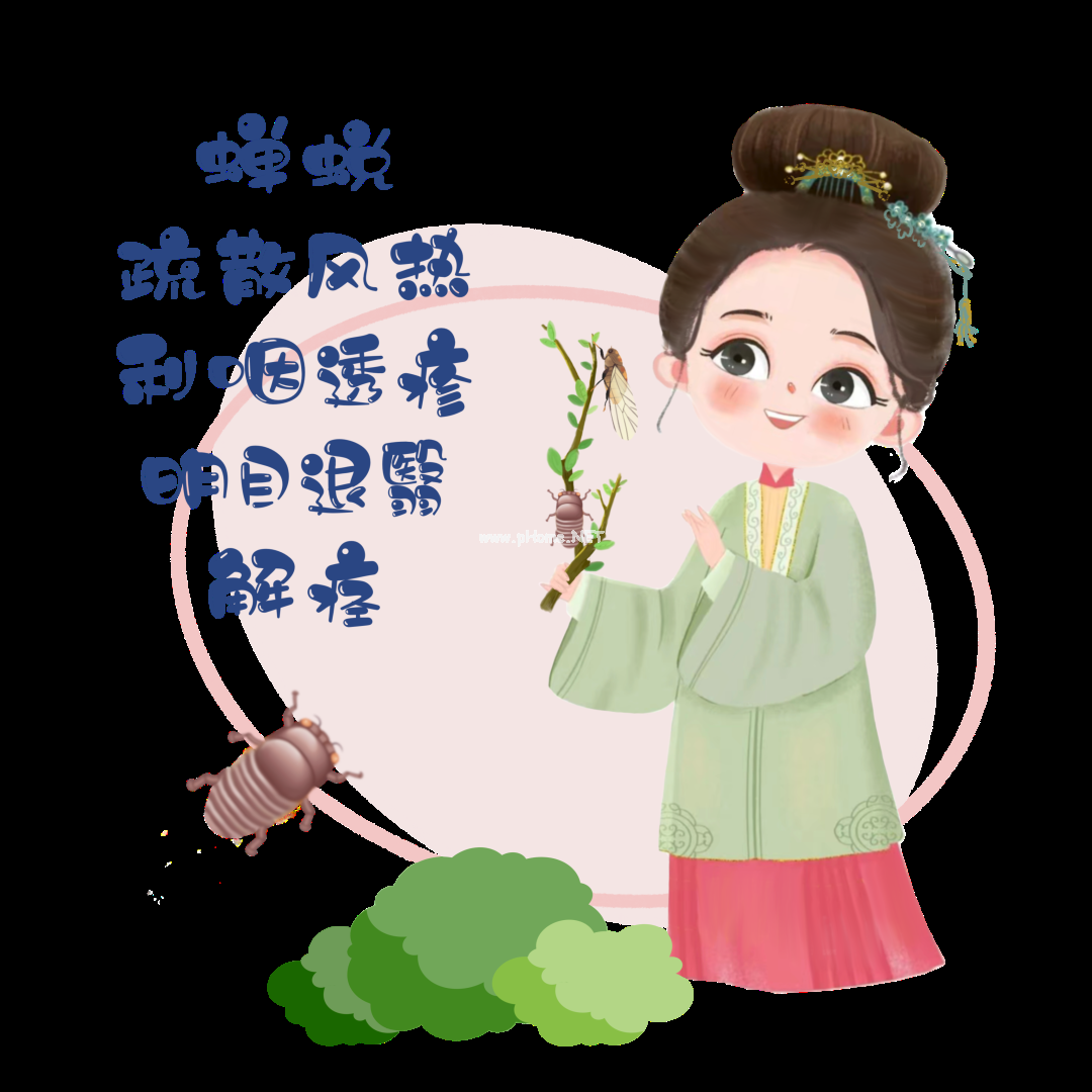 夏已至——藏在节气里的中药