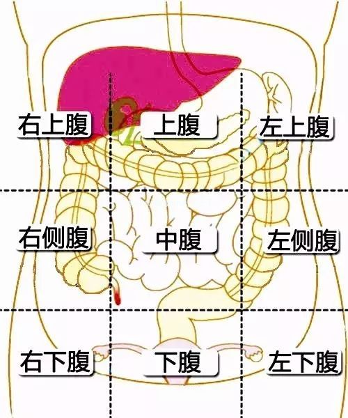 看九宫格找病因
