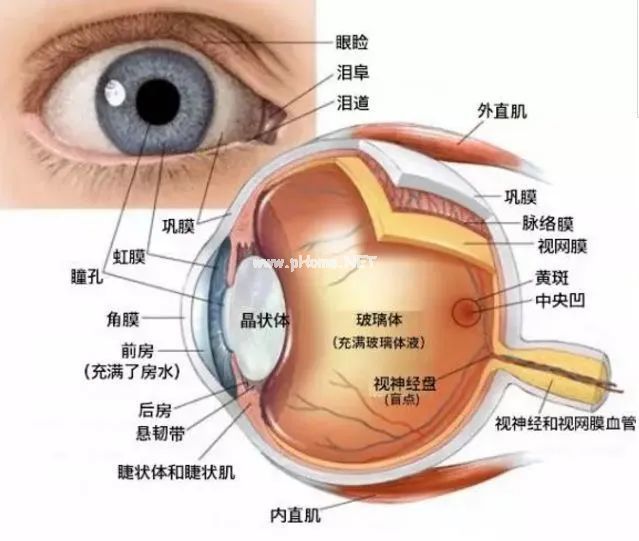 ​电子产品不仅伤眼，还让孩子变笨、说话晚？